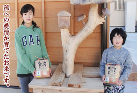 《令和７年産 新米》孫のために作りました！田代農園の『特別栽培米』《玄米》３kg　[0020-0097]