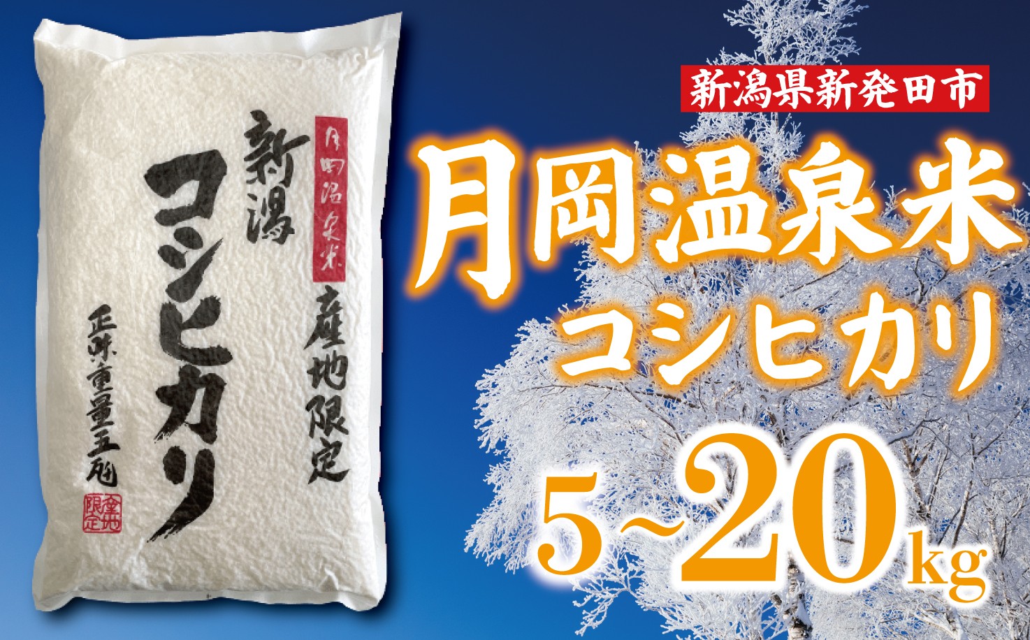 
                  【最短1週間発送!!】 新潟県産 コシヒカリ 選べる 容量 5kg 10kg 20kg 令和7年産 月岡温泉米 こしひかり 月岡 温泉 お米 こめ ご飯 ごはん おいしい 新潟 新潟県 米 新発田産 新潟産 朝食 昼食 夕飯 炊きたて 精米 watasho001P
                