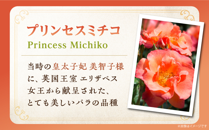 【先行予約】純米大吟醸 Princess Michiko 720ml（16度）【2024年11月以降順次発送】《壱岐市》【天下御免】 横山蔵 重家酒造 日本酒 酒 お酒 純米 大吟醸 大吟醸酒 150
