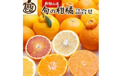 
            ［先行予約］厳選 柑橘詰合せ1kg+250g（傷み補償分）［有田の春みかん詰め合わせ・フルーツ詰め合せ・オレンジつめあわせ］［光センサー選別］［IKE157］
          