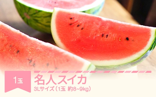 【先行予約】名人スイカ 大玉すいか 1玉 8~9kg 2026年産 令和8年産  ※沖縄・離島への配送不可 mm-su3lx1
