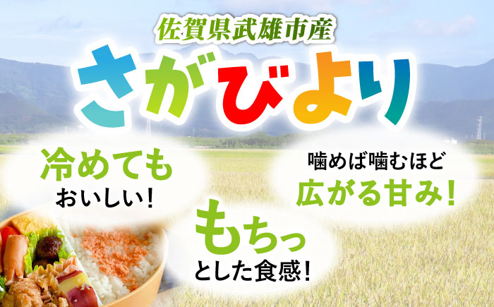 【3回定期便】令和7年産 新米 さがびより 白米 10kg（5kg×2袋） /JA食糧さが [UDS002]