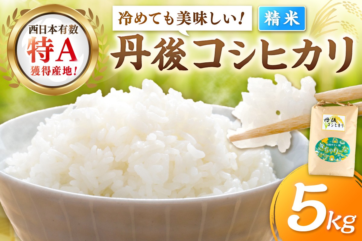 
                  直売所直送「令和7年産　京丹後市産　コシヒカリ」　精米5kg　こめ ふるさと納税 コシヒカリ 精米 ふるさと納税 米 精米 白米 2025 年 京都産 送料無料 生産者応援 農家応援 送料無料　JA00082～JA00082S_03
                