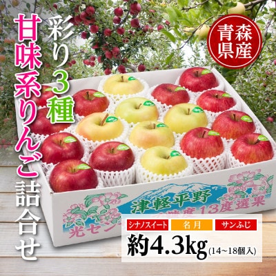 りんご/青森県産　彩り3種甘味系りんご詰合せ(高糖度)約4.3kg【配送不可地域：離島】