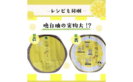 「はやし屋」の晩白柚のお酒 2本セット 《30日以内に出荷予定(土日祝除く)》 熊本県氷川町産---sh_hayashisake_30d_23_13000_2p---