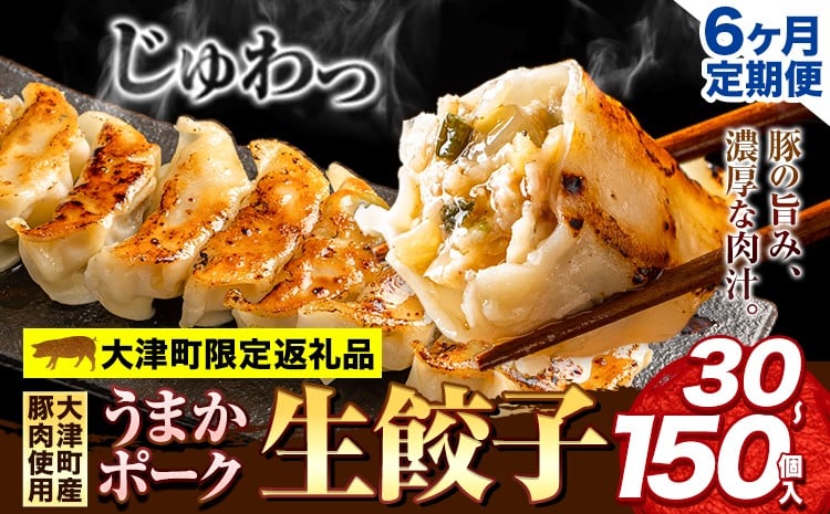 
            【6ヶ月定期便】餃子 うまかポーク生餃子 タレ付き 大津町限定返礼品 冷凍餃子 ギョウザ 大津町産豚肉使用 九州産キャベツ使用（大津町産含む）皮モチモチ 肉汁溢れる ぎょうざ 30個 60個 90個 150個 《お申込み月の翌月から出荷開始》
          