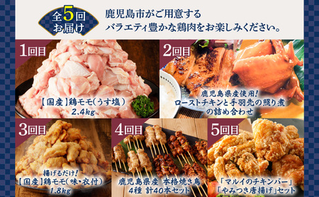 【 全5回 】 鶏肉 バラエティ 定期便 K000-T2508 肉 鶏モモ もも肉 うす塩 味付き 国産 ローストチキン 手羽先 照り煮 惣菜 チキンバー 唐揚げ 骨付き 骨なし 焼き鳥 焼鳥 やきと