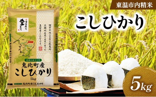 
                  こしひかり 約5kg 東温市内精米 （鬼北町産生産者混合）数量限定 美味しい つや 高級  お米 5キロ 米 精米 白米 ブランド米 ご飯 ごはん 愛媛県 東温市[№5303-0287]
                