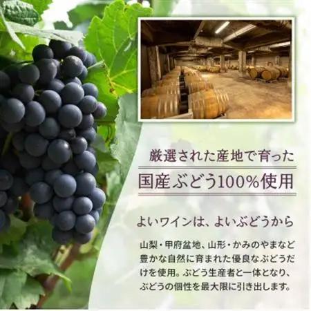 サントネージュ　かみのやまソーヴィニヨン・ブラン【1570357】