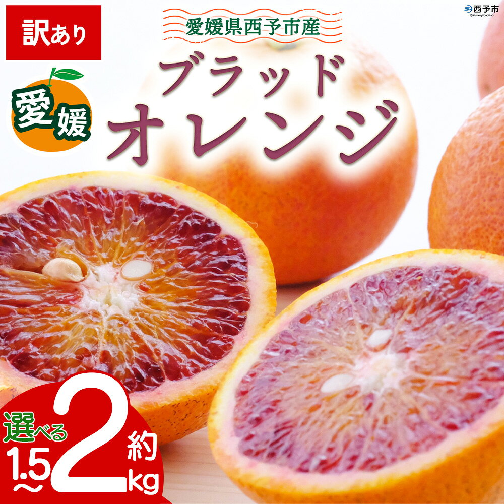 【ふるさと納税】【先行予約】＜訳あり 愛媛県産 ブラッドオレンジ 約1.5kg／2kg＞『2027年2月以降順次出荷予定』選べる タロッコ 希少 赤い みかん ご家庭用 ご自宅 蜜柑 果肉 果物 柑橘 フルーツ オレンジ 国産 濃厚 ミヤモトオレンジガーデン 愛媛県 西予市【常温】