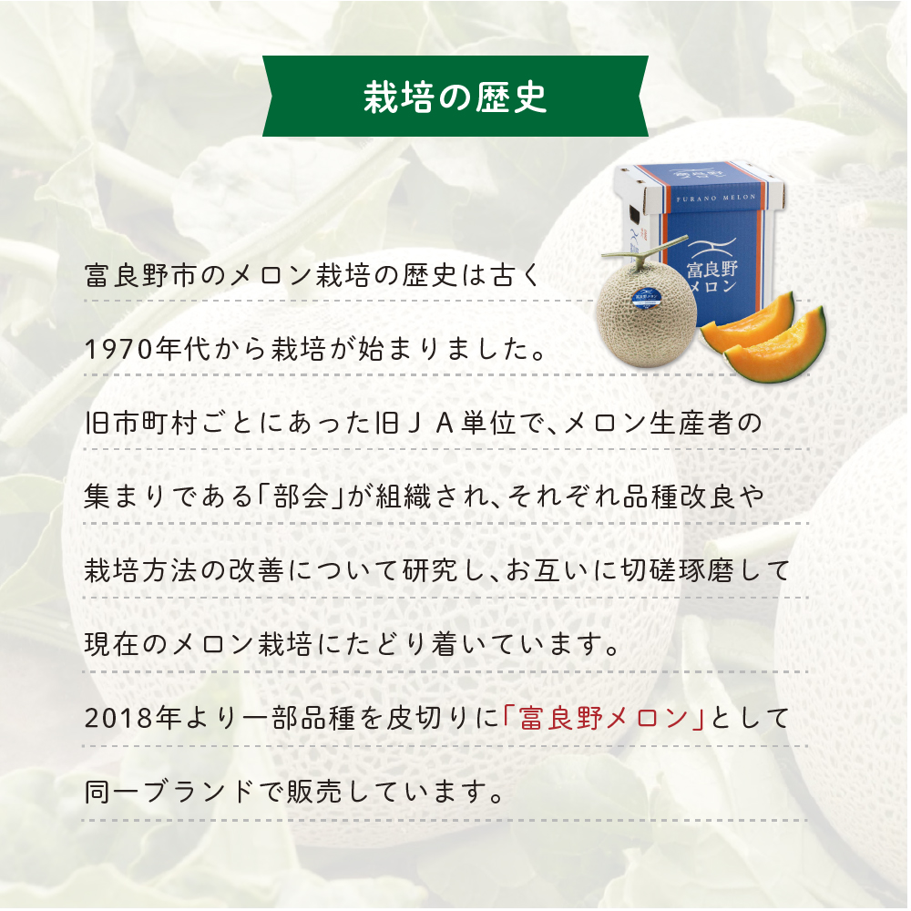 【2024年7月中旬より発送】ふらの 赤肉 メロン 約1.6kg×2玉 北海道 富良野市 (JAふらの) メロン フルーツ 果物 新鮮 甘い 贈り物 ギフト 道産 ジューシー おやつ ふらの ブランド