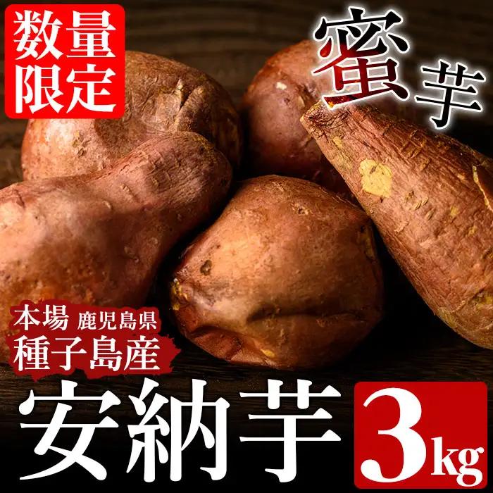 安納芋 さつまいも 3kg 【種子島安納株式会社】n222