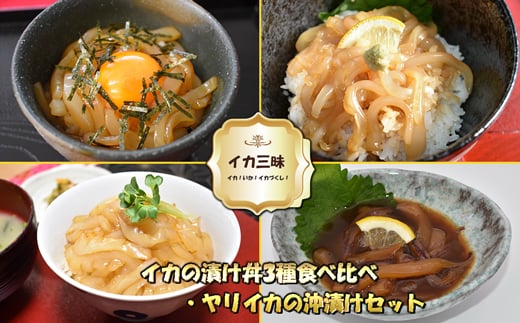 
イカ！いか！イカづくし！！高鮮度イカの漬け丼3種食べ比べ各3食にヤリイカの醤油漬けもセットにしてお届け！！[F0090]
