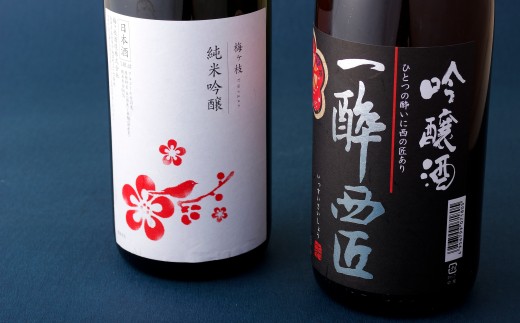 《定期便》香り豊かな純米吟醸･吟醸酒のプチ贅沢一升瓶2本【12回お届け】