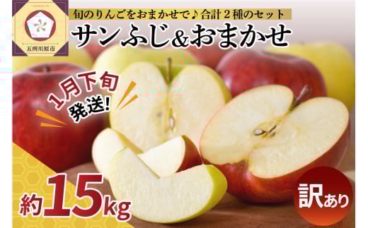 【2026年1月下旬発送】【訳あり】 りんご 15kg 詰め合わせ 計2種(サンふじ と 他1種) 不揃い フルーツ 家庭用