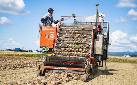 【11月発送】越冬用減農薬玉ねぎ10kg