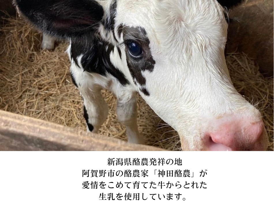 生牛乳クリームジェラート ギフトボックス 神田酪農 2K01009