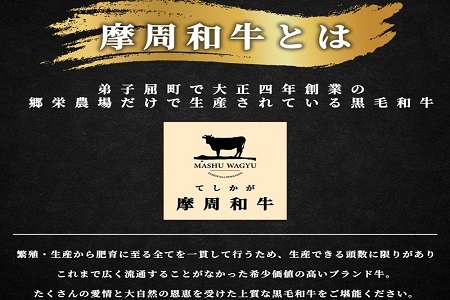 2396.弟子屈咖喱　200g　3個セット　カレー