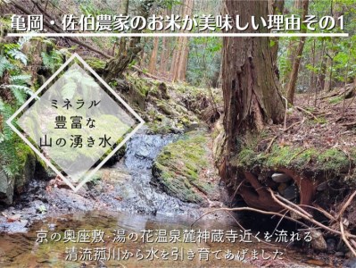 【令和6年産先行予約】米 白米 定期便 10kg×3ヶ月 30kg コシヒカリ 佐伯の里の源流米 米 白米 定期便 ※北海道・沖縄・離島の配送不可 ※2024年10月以降発送予定≪希少 米 白米 定期
