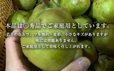【先行予約 2024年度発送】♪フルーツ王国山形♪ラ・フランス FSY-1152