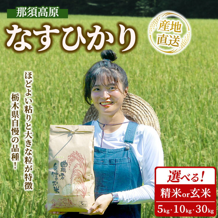 【ふるさと納税】【選べる内容・容量】那須高原 令和7年産 なすひかり 5キロ～30キロ 精米・玄米 ｜ 新米 白米 玄米 ナスヒカリ 米 こめ コメ ごはん ご飯 産地直送 期間限定 季節限定 栃木県 那須町 ※2025年10月中旬～2026年2月下旬頃に順次発送予定