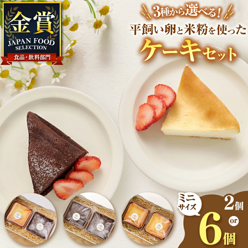 【ふるさと納税】 選べる種類 サイズ 平飼い卵と米粉を使った クリームチーズケーキ ガトーショコラ | 穴太商店 スイーツ ケーキ 低カロリー 贈り物 贈答 ギフト プレゼント ホワイトデー 誕生日 記念日 お祝い 卒業式 千葉県 君津市 きみつ