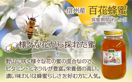 信州産蜂蜜ペアセット(アカシア・百花　各1.2g）