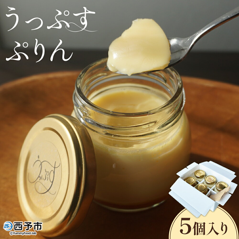 【ふるさと納税】＜うっぷすぷりん 5個入り＞『1か月以内に順次出荷予定』セット 詰め合わせ プリン スイーツ デザート お菓子 洋菓子 手作り カスタードプリン お取り寄せスイーツ なめらか おやつやうっぷす 愛媛県 西予市【冷蔵】
