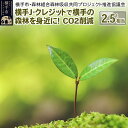 【ふるさと納税】横手J‐クレジットで横手の森林を身近に! CO2削減 2.5t相当