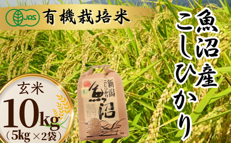 魚沼 コシヒカリ JAS有機栽培玄米 5kg×2袋 わたなべ農園｜玄米 新潟県 小千谷市