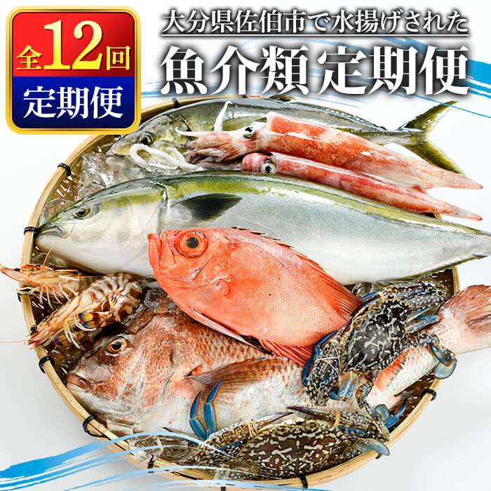【ふるさと納税】＜定期便＞ 魚介類定期便 (全12回 ・連続) 魚 魚介 海鮮 いか イカ たこ タコ 貝 海老 えび エビ 冷蔵 【opba001】【海べ】