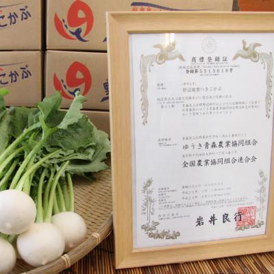 ふるさと納税 野辺地町 生で食べられる!皮まで丸ごと美味しい!野辺地葉つきこかぶ(10kg入) |  | 03