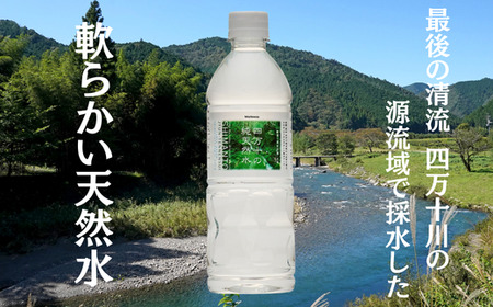 四万十の純天然水 500ml × 24本 2箱セット ミネラルウォーター 天然水 ペットボトル 水 500ml 四万十川