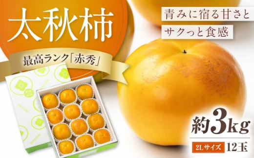 柿 【先行予約】 太秋柿 赤秀2Lサイズ約3kg（12玉入り）／ フルーツ 果物 くだもの かき 柿 内子町 旬 甘い サクサク ジューシー 国産 産地直送 愛媛県 四国 ギフト 贈り物 プレゼント 贈答品 お礼品 ふるさと納税 お取り寄せ 特産品 おすすめ 農協 JA デザート 高糖度 完熟 秋の味覚 【愛媛たいき農業協同組合　果樹生産出荷協議会　柿部会】 [BKAL004]