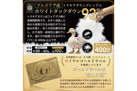 羽毛布団 本掛け 60番手サテン 綿100％｜