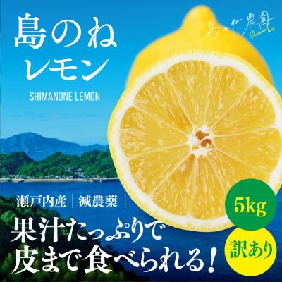 ふるさと納税 今治市 【訳あり】先行受付 島のねレモン 5kg 【K001610】