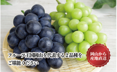 シャインマスカット＆ニューピオーネ 3-5房/計2.0kg～ (岡山県産) 【KF-B070-03】