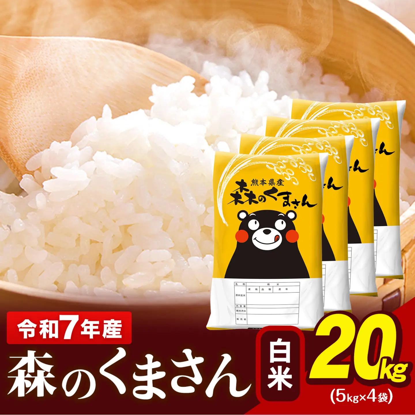 令和7年産 森のくまさん 20kg 5kg × 4袋  白米 熊本県産 単一原料米 森くま《7-14日以内に出荷予定(土日祝除く)》｜人気米 熊本県産米 お米 生活応援米