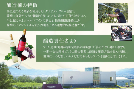 ワイン 赤 白 おまかせ 2本セット ソムリエ セレクト 日本ワイン ～春の陣～