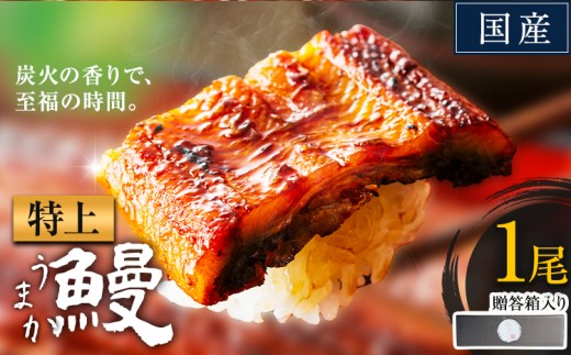 うなぎ 特上サイズ 1尾 贈答箱入り 国産 ランキング 獲得 鰻 真空パック おすすめ うなぎの蒲焼 《30日以内に出荷予定(土日祝除く)》 ふるさとのうぜい 特上 簡易包装 ウナギ unagi 蒲焼 秋 冬 旬 配送時期 冷凍