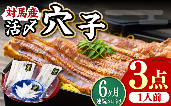 
            【全6回定期便】対馬産 活〆 穴子 ３点 セット A【THE・対馬株式会社】《対馬市》新鮮 あなご 刺身 天ぷら 海鮮 肉厚 簡単調理 一人前 [WAS007]
          