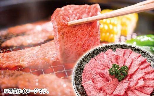 宮崎牛 肩ロース焼肉用400g　内閣総理大臣賞４連続受賞　4等級以上<2.5-31>牛肉 肉 ビーフ 黒毛和牛 牛焼肉 宮崎県西都市