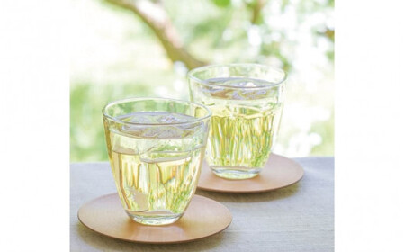 梅搾り（ノンアルコール）490ml / 紀州南高梅 梅干し 梅干 梅 うめ 梅ジュース 和歌山 田辺市 炭酸割り 紀州産 南高梅 完熟梅【isg027-1】