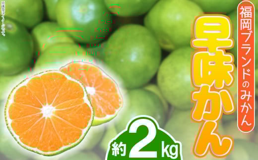 福岡ブランドみかん・早味かん約2kg 4A16