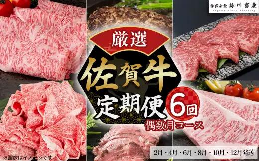 T31x1 佐賀牛 厳選！6回定期便 偶数月コース 【2月・4月・6月・8月・10月・12月発送】 佐賀牛 ブランド牛 国産牛 牛肉 肉 赤身 赤身肉 佐賀県 太良町
