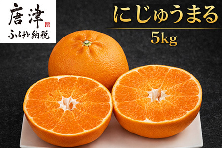 『先行予約』【令和9年3月上旬より順次発送】◎にじゅうまる◎ 5kg 佐賀県産【高級柑橘みかん】