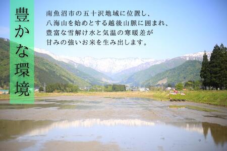 【令和6年産新米予約】南魚沼産つきあかり 白米5kg しゃっきり艶やか！ ひらくの里ファーム