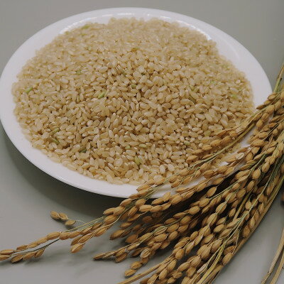 【ふるさと納税】【玄米】令和7年産米　富良野産　栽培期間中出来るだけ農薬を減らして作った　ゆめぴりか　10kg【1618942】