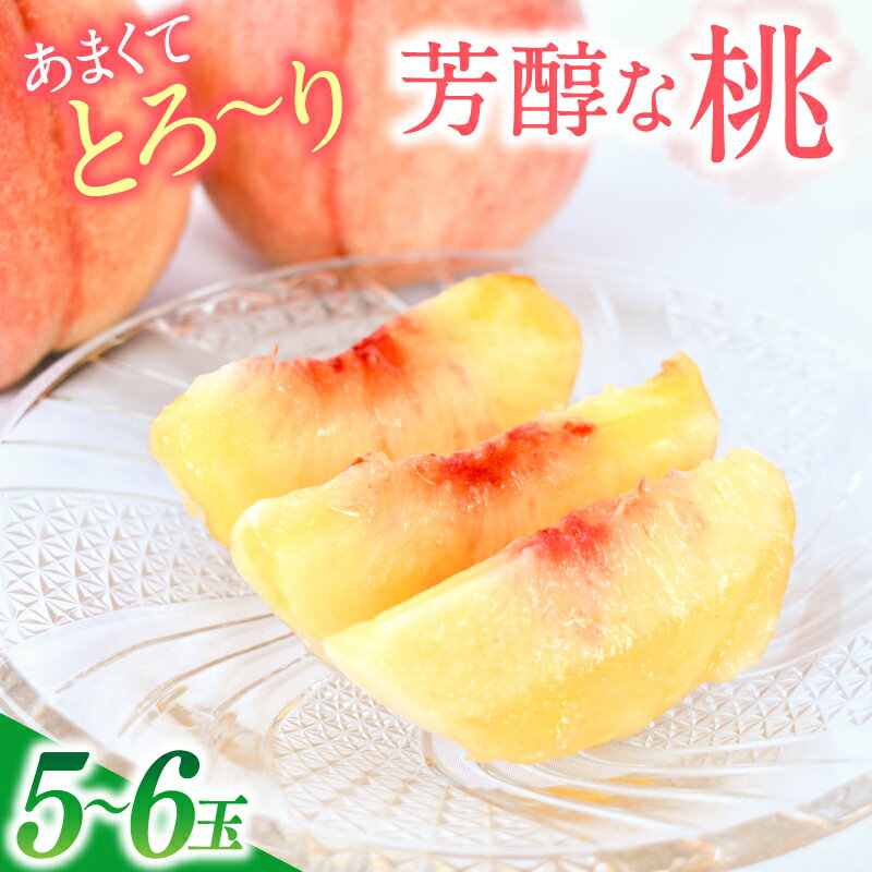 【ふるさと納税】 【あまくてとろ～り芳醇な桃【5～6玉】【先行予約】【2026年6月下旬～8月上旬順次発送】/あおぞらふぁーむ 桃 完熟 かつらぎ町 高野山 和歌山県【aozf001】