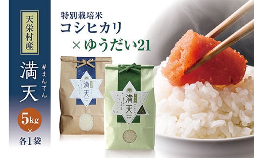 「満天」食べ比べセット各5kg（ゆうだい21・特別栽培米 コシヒカリ） 白米 精米 米 コメ 天栄米 天栄村 F21T-421